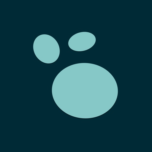 Logseq app icon