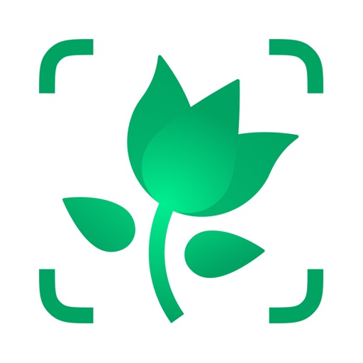PictureThis app icon